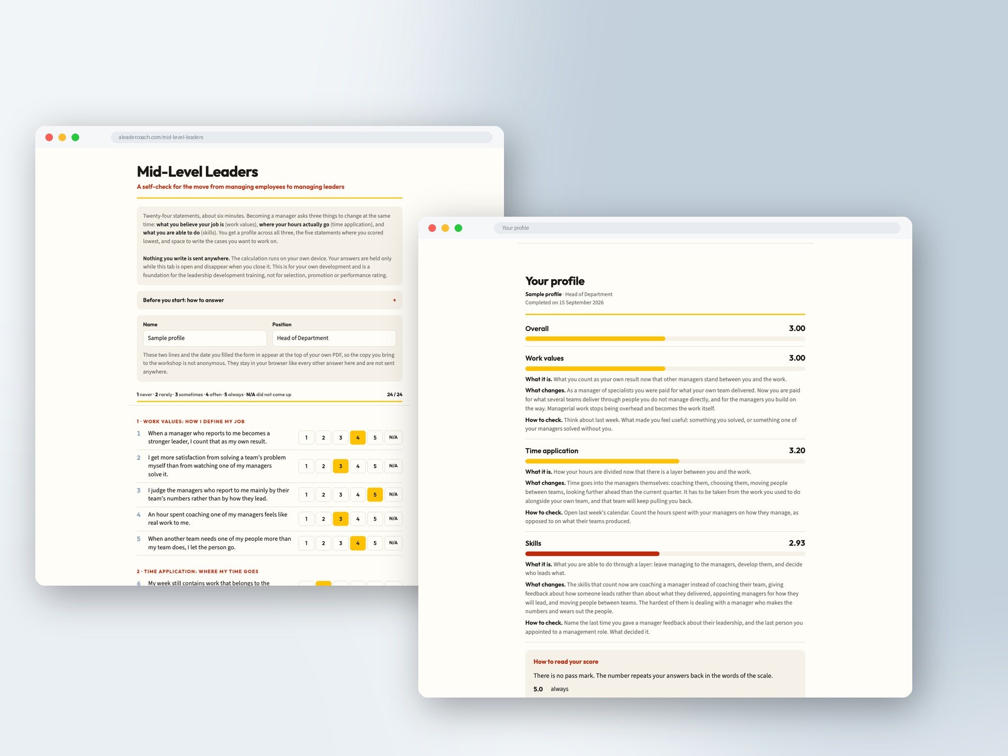 Leadership self-check profile